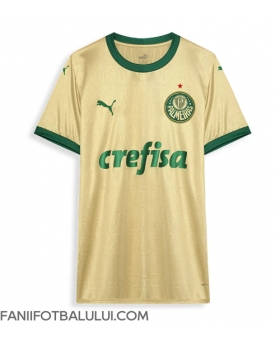 Palmeiras Tricou Fotbal Replică 2024-25 Barbati Treilea